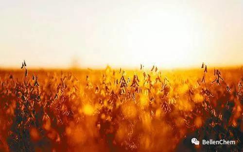 1539659781526075dETW.jpg 六合寧遠1.jpg