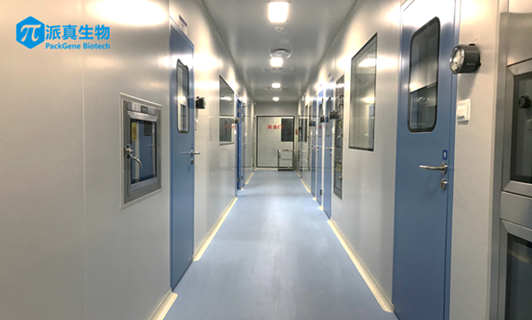 160369677094864378St.png image.png